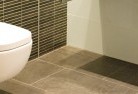 Colebatchtoilet-repairs-and-replacements-5.jpg; ?>